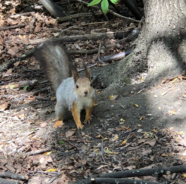 Тони Старк: приключения без брони. Был месяц май, половина первая