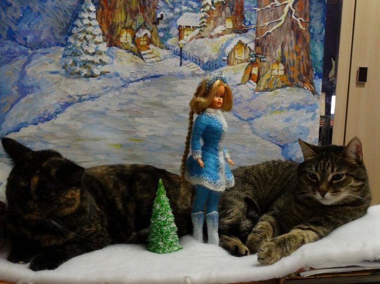 Кото-фото — В мире животных: смешные фото питомцев и зверей (фото 8)