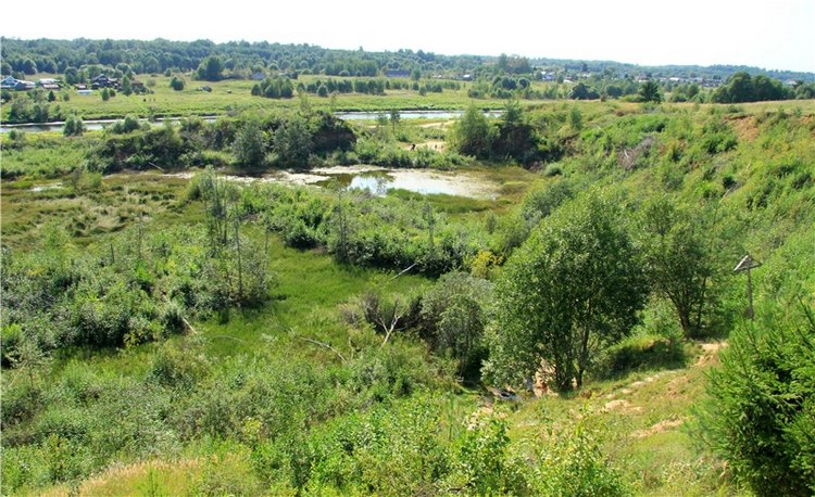 Инопланетянка Нийя. Custom Blythe Doll UFO Go Go Takara