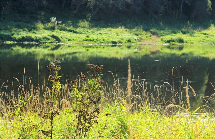 Старицкая Швейцария. Старицкие пещеры, д. Толпино, заключительная часть