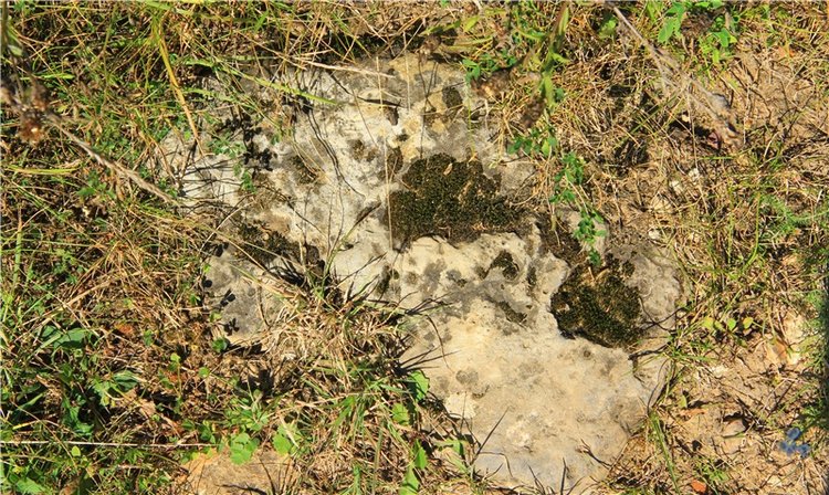 Старицкая Швейцария. Старицкие пещеры, д. Толпино, заключительная часть