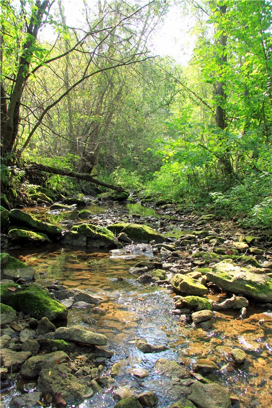 Старицкая Швейцария. Путешествие с Сашей, продолжение. Уникальная кукла от Сильвии Наттерер