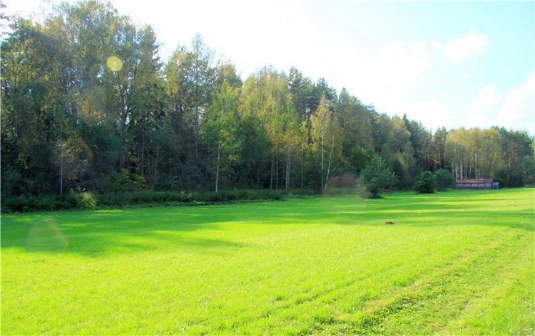 Нийя. Воспоминание об осени, Чукавино, Эко-Лэнд