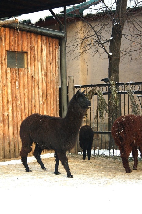 Московские каникулы. Часть 1