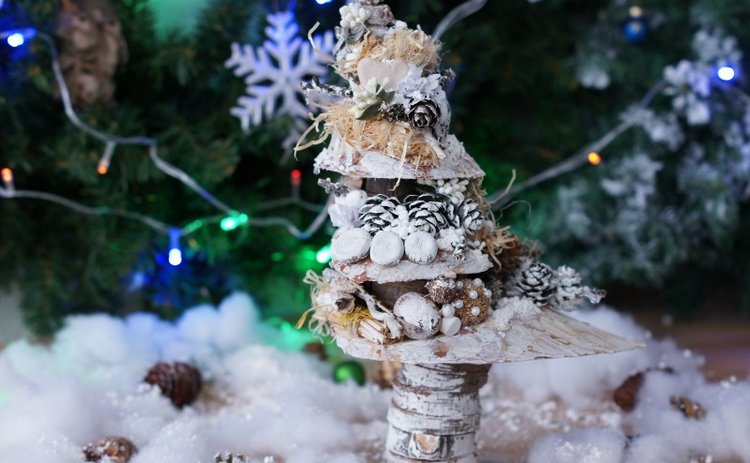 Елочка — Другие хобби и увлечения: сад (фото 2)