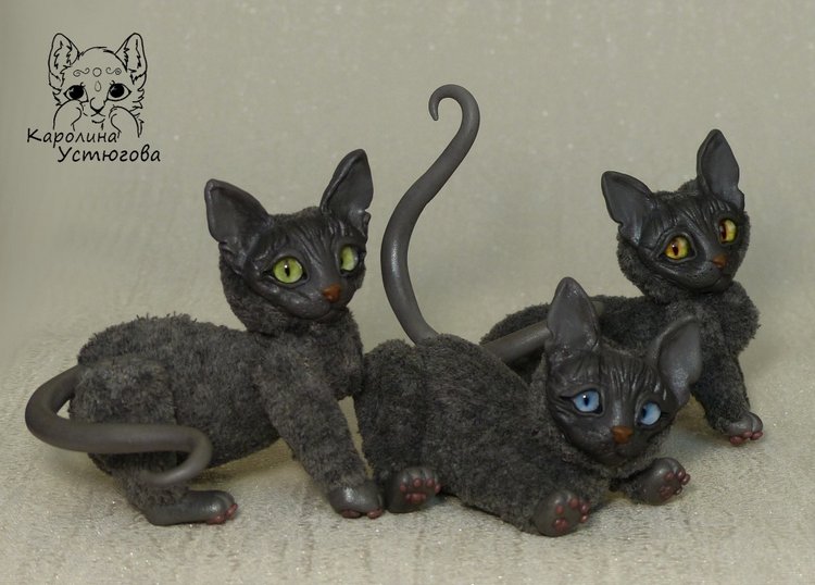 Миниатюрные серые Сфинксы