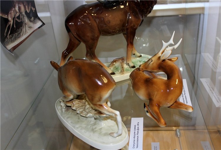 Выставка "Хрупкий мир фарфора", Старицкий краеведческий музей (фото 5)