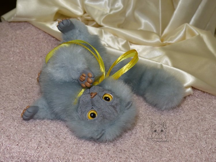 Котенок. Шотландский вислоухий