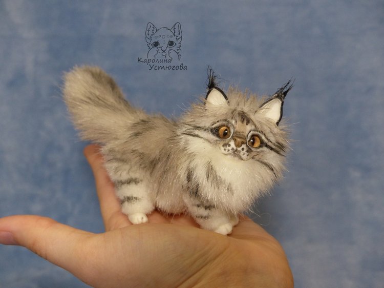 Мейн-ку́н, миниатюра. Серебристый окрас