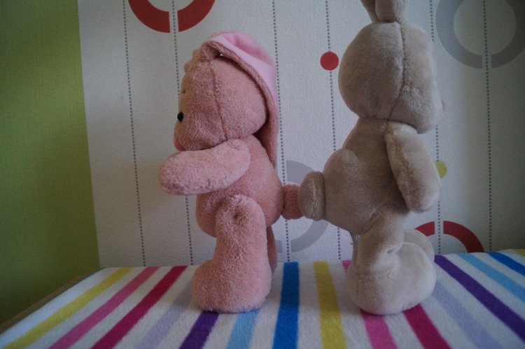 Как Агаша зайку шила — Другие хобби и увлечения: сад