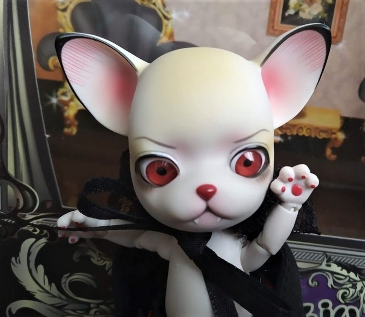 Новый житель нового формата (фото 5)