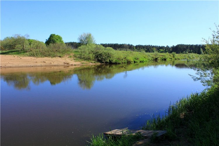 Дивная Весна — Куклы Zwergnase (Цвергназе/Цверги): фото