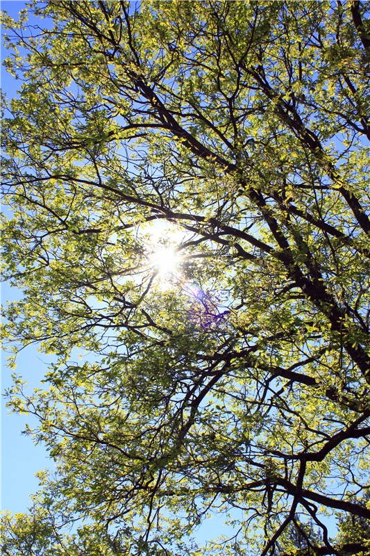 Ландыши - Светлого мая привет