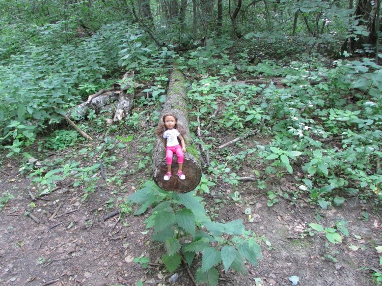 Веселое путешествие по Парку Измайлово (фото 10)