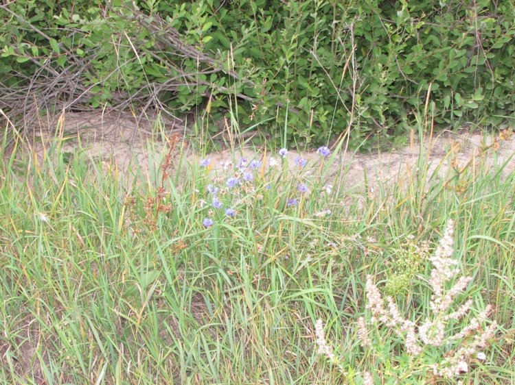 Путешествие в Нижегородскую область - часть 2 - Размещение в деревушке и прогулка по окресностям