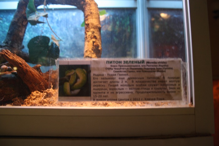 Псков. Эколого-биологический центр. Часть 2