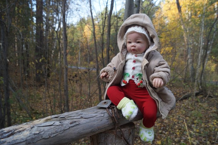 Хотите прогуляться по нашему городу? А за город - по экологической тропе