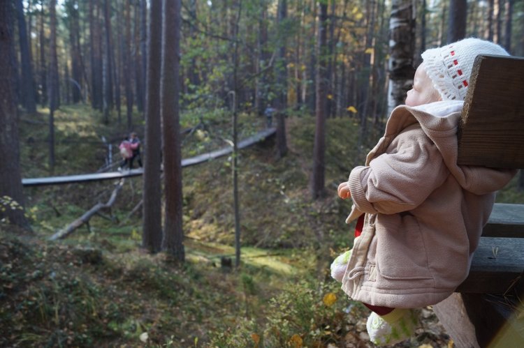 Хотите прогуляться по нашему городу? А за город - по экологической тропе (фото 9)