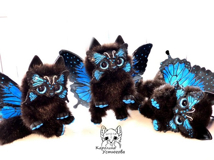 Волшебство продолжается... Бабочковые котята Папилиофелис (фото 3)