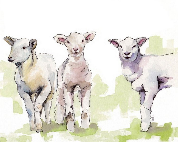 TheColorfulCatStudio - Иллюстрированная фауна by Rachel Byler (фото 8)