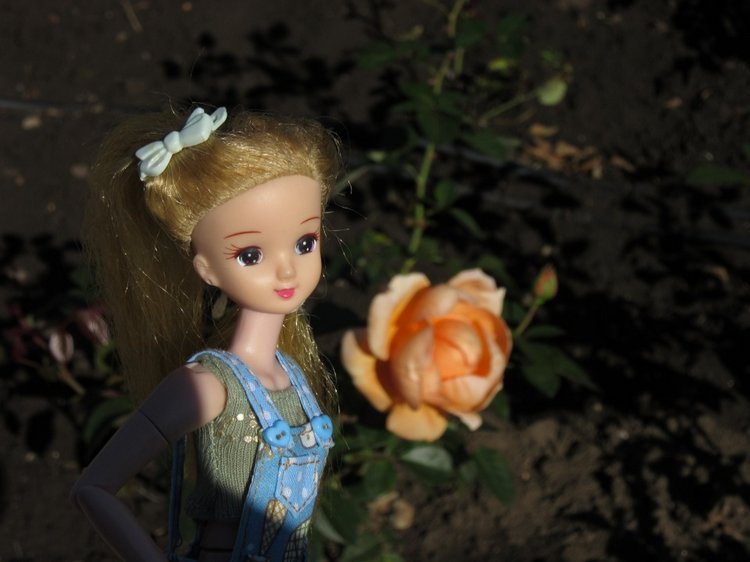 Горячее солнышко Кисловодска