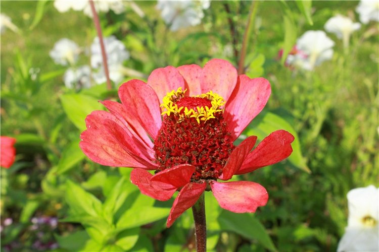 Сентябрьское путешествие в Старицу. Старицкий Свято-Успенский Монастырь