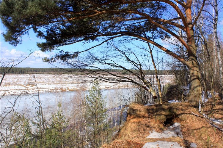 Весна в "Саду Камней" | Бэйбики Весна в "Саду Камней" — Куклы Meadow dolls (Медовушки): BJD (БЖД)