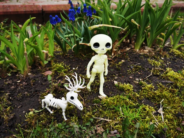 Лягушка Ванда и все-все-все