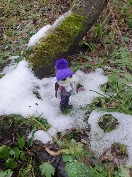 Лягушка Ванда и все-все-все