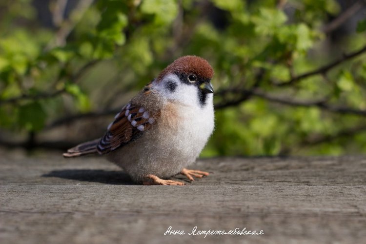 Воробушки — Валяные игрушки из шерсти: сухое валяние