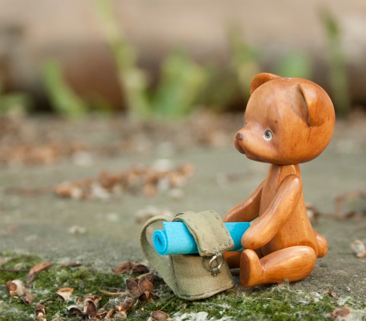 Деревянный мишка путешественник (фото 10)