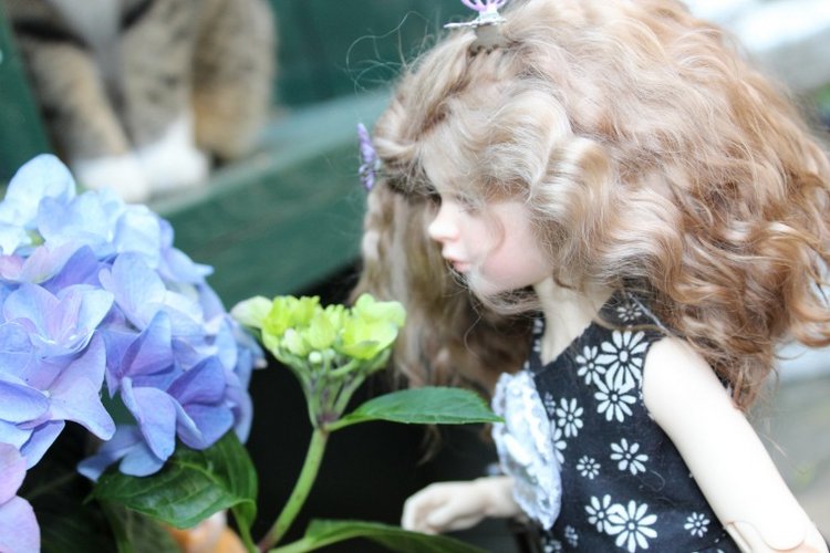 Поиск образа для Розочки. Знакомство с садом