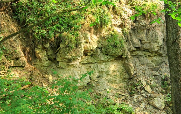 Старицкая Швейцария. Старицкие пещеры, д. Толпино