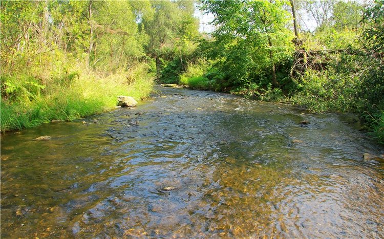 Старицкая Швейцария. Путешествие с Сашей, продолжение. Уникальная кукла от Сильвии Наттерер