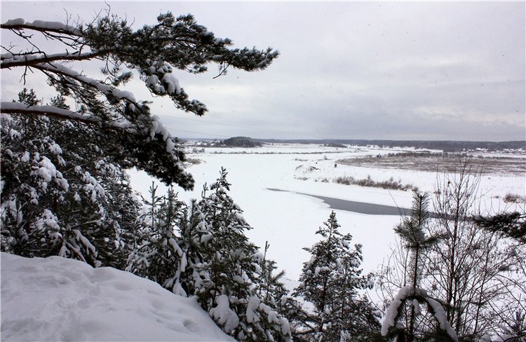 Рождественские гуляния, часть вторая. Zwergnase Mischa