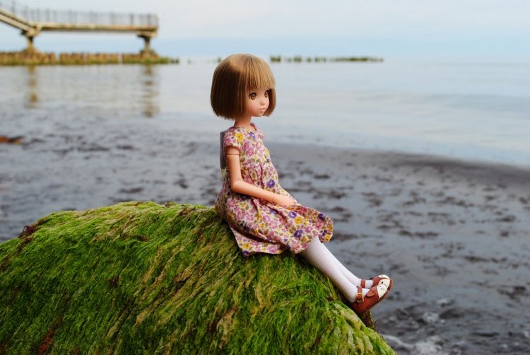 Девочки и их приключения или Ruruko от Petworks | Бэйбики Девочки и их приключения или Ruruko от Petworks (фото 2)