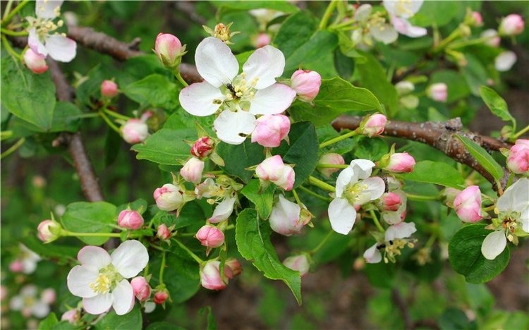 Женя-путешественница — Советские винтажные куклы (СССР): Ленигрушка