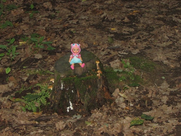 Веселое путешествие по Парку Измайлово - 2