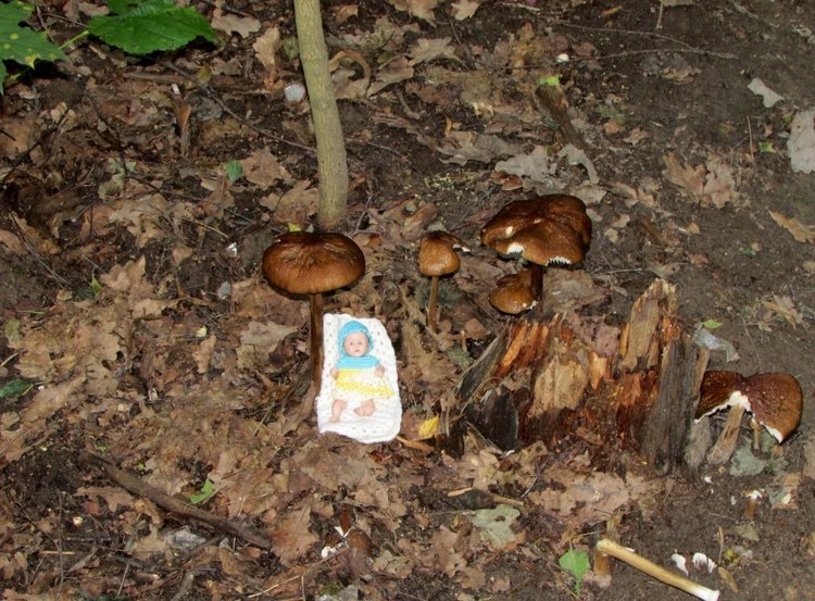 Веселое путешествие по Парку Измайлово - 2