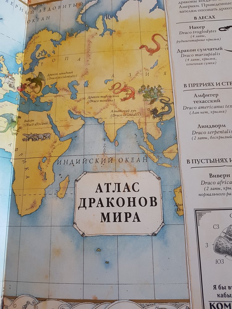 Шкаф в мою личную Нарнию | Бэйбики Шкаф в мою личную Нарнию — Болталка и разговоры обо всем: жизнь