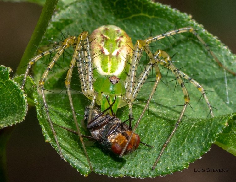Любителям природы - профессиональные фотографии (выпуск 4)