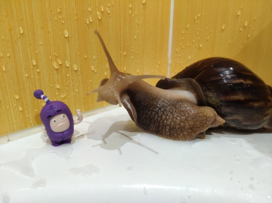 Любимые фигурки — Интересные игрушки и фигурки (разное): редкие