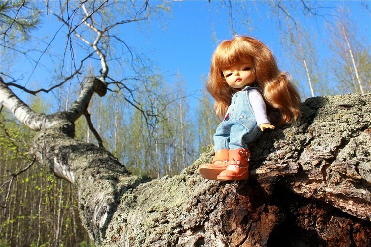 Прогулка Софи. Lati HoneyBee New Mystic Sophie | Бэйбики Прогулка Софи. Lati HoneyBee New Mystic Sophie (фото 2)