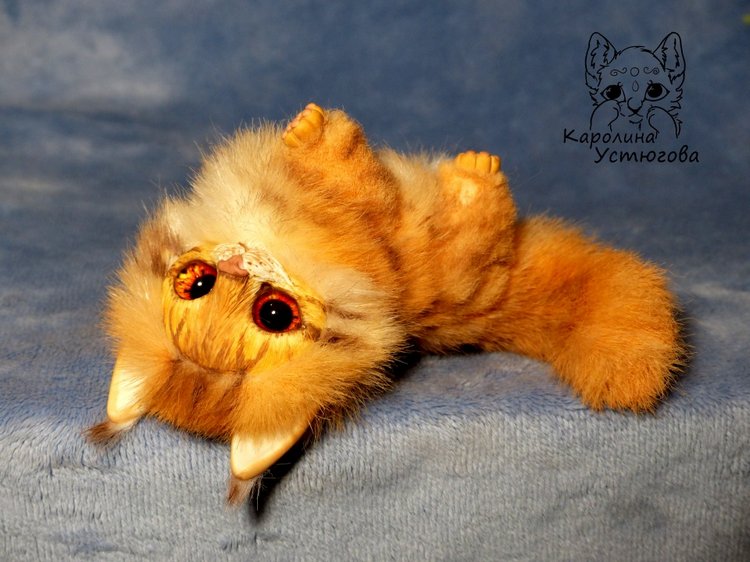 Карманный котеночек породы: Мейн-Кун (фото 9)