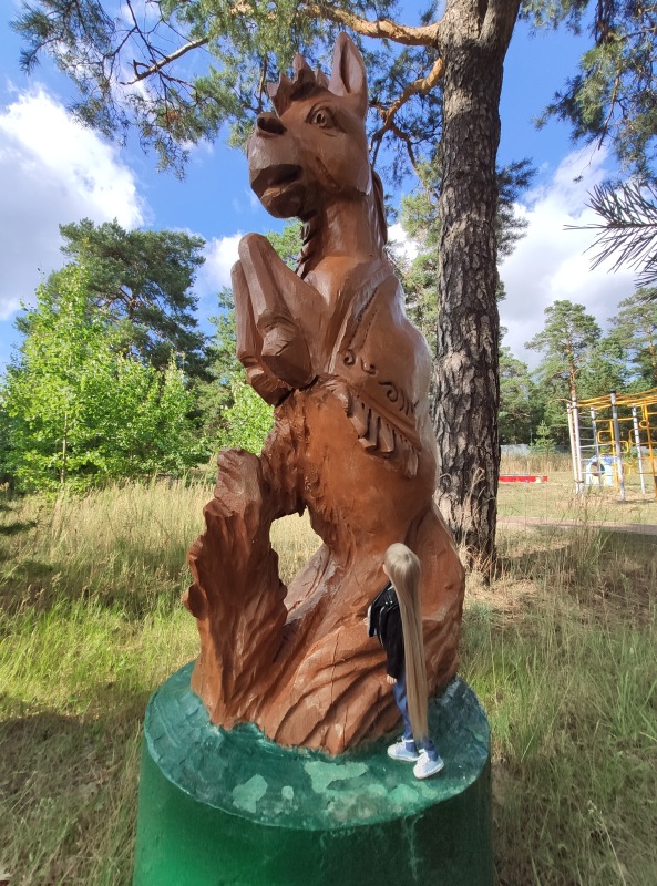 Прогулка по Волжской деревеньке (фото 4)