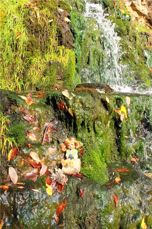 "Бабье Лето" на Водопаде, продолжение