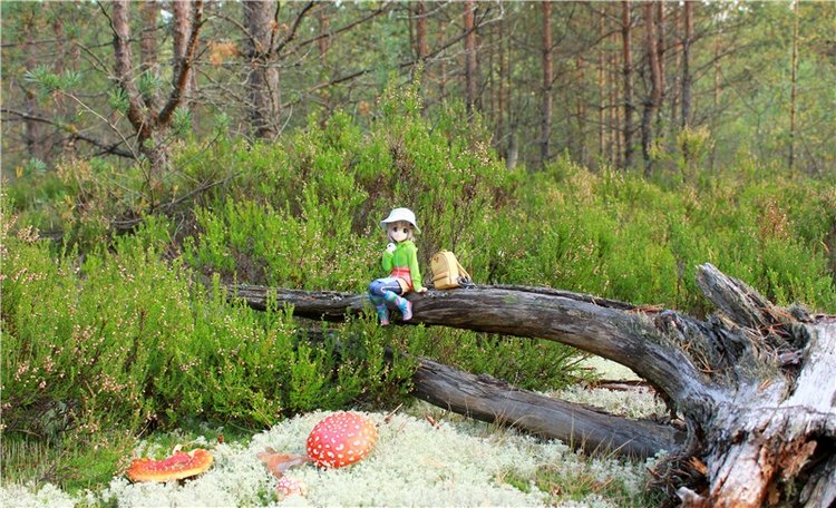 "Аманита". Aoi Yukimura Third Season 1/7 PVC figure (фото 10)