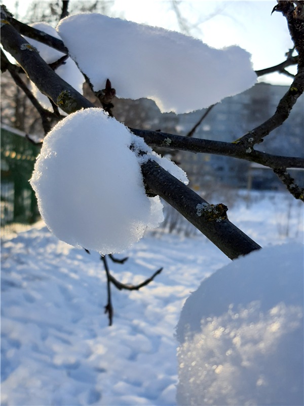 Снежно-Нежно Новогодний — Винтажные куклы ГДР (Немки): Бигги (фото 4)