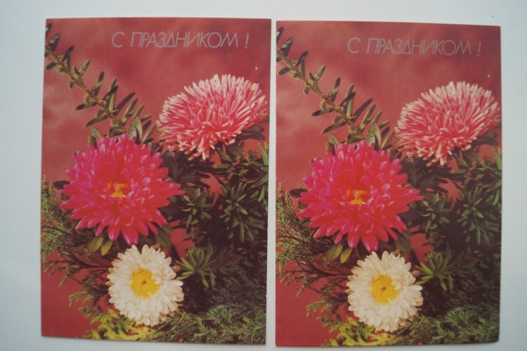 Советские открытки на каждый праздник. Годовой цикл. 23 февраля (фото 10)