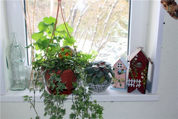 Тверской Ботанический Сад, продолжение | Бэйбики Тверской Ботанический Сад, продолжение